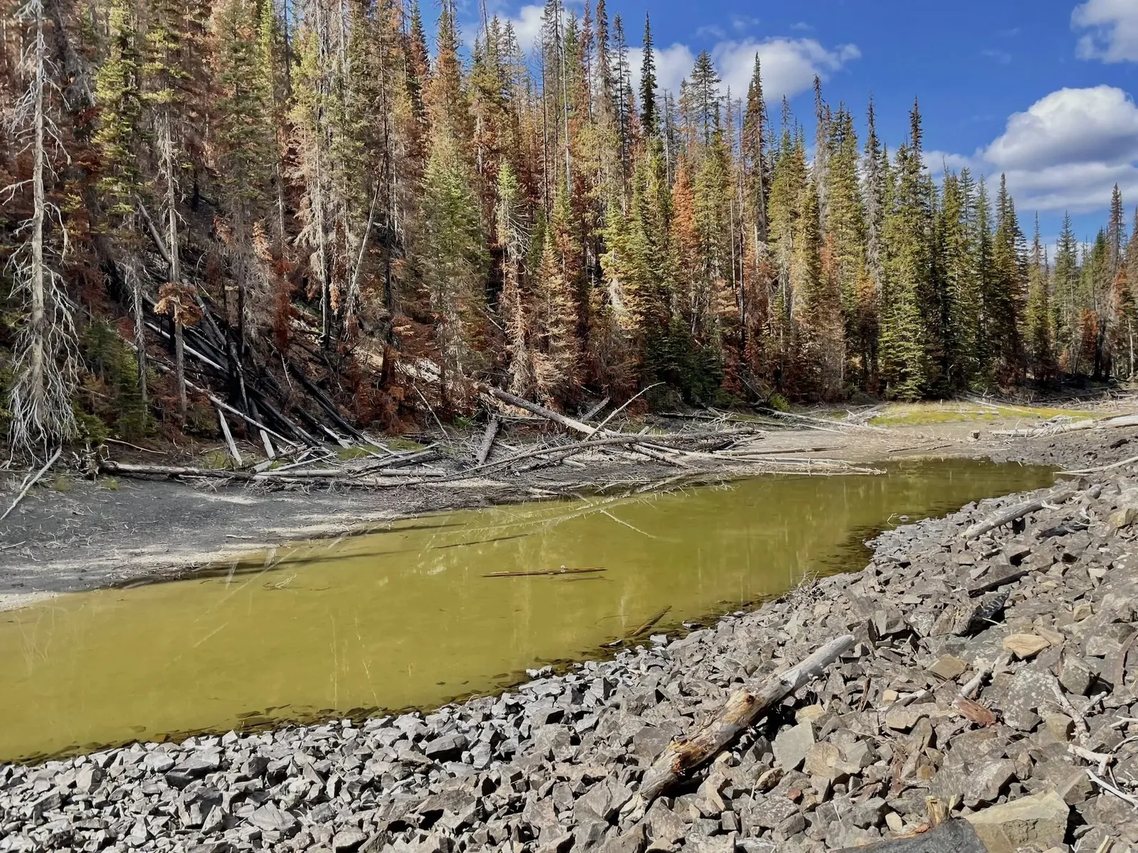 Dead Lake