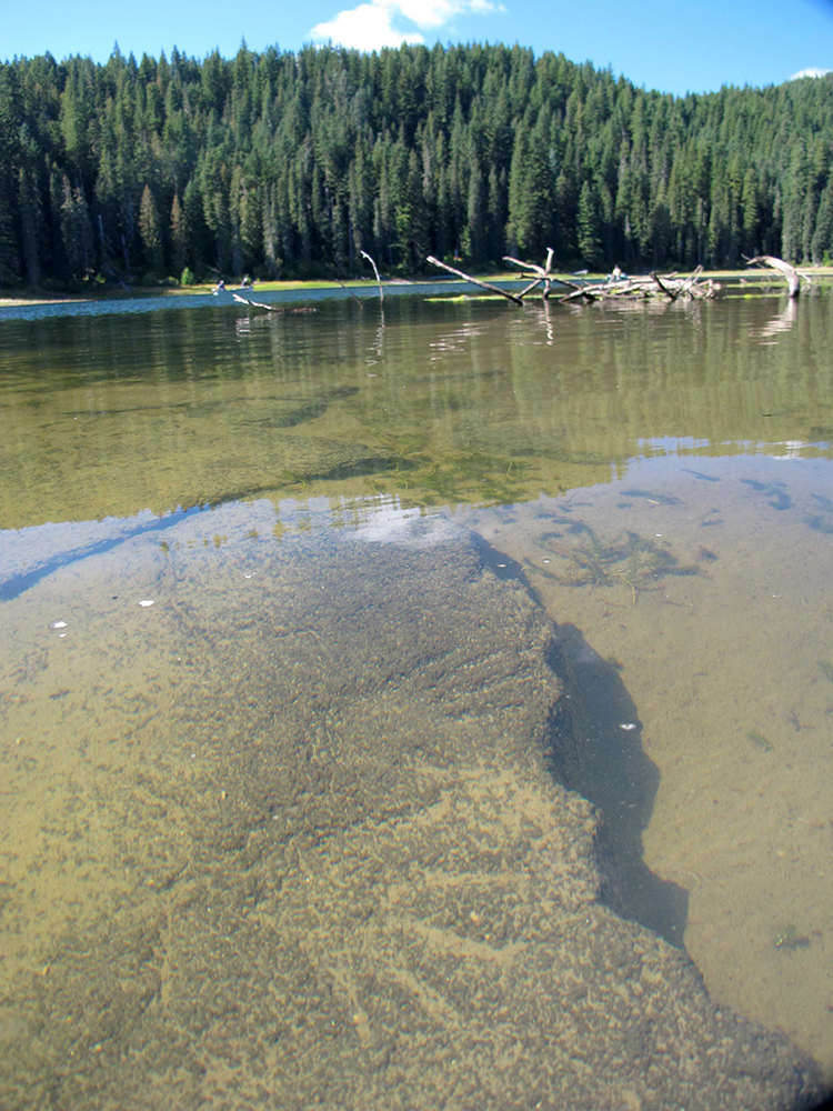 Goose Lake