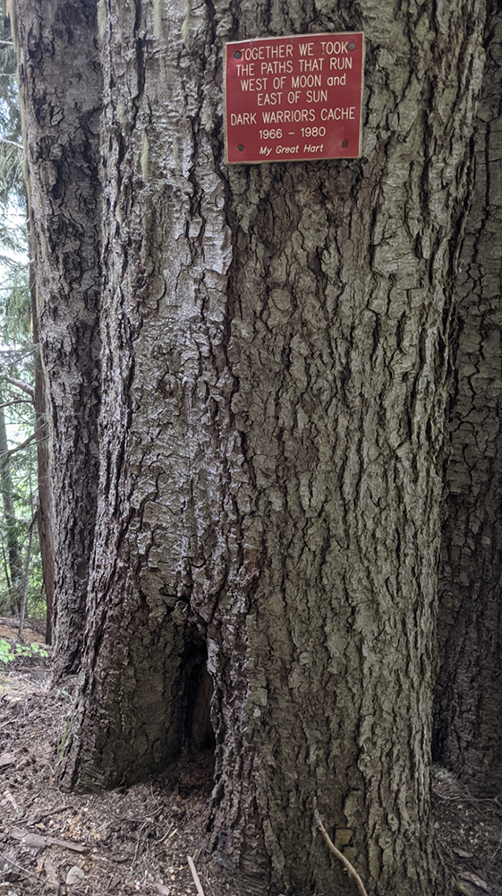 The tree