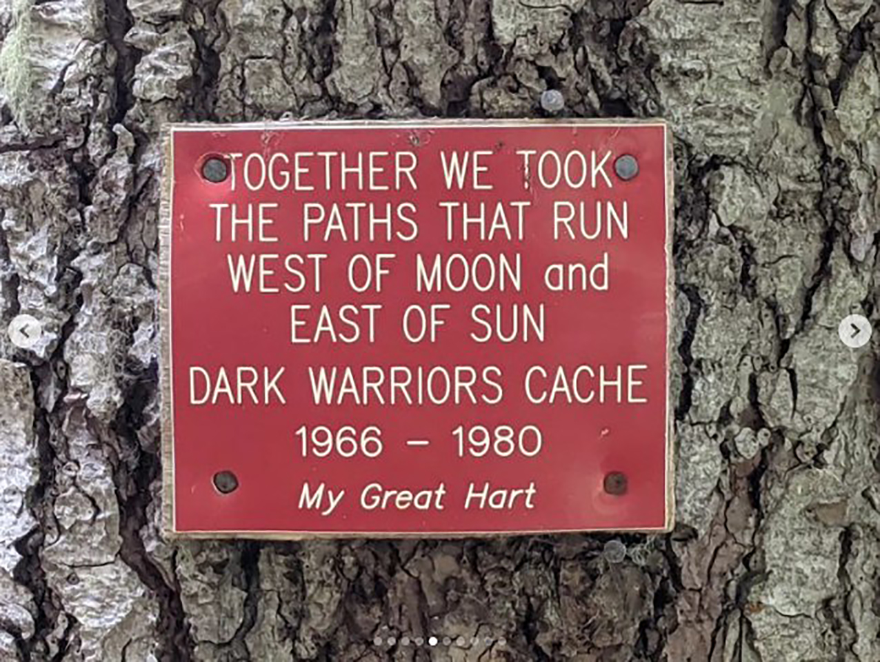 The plaque